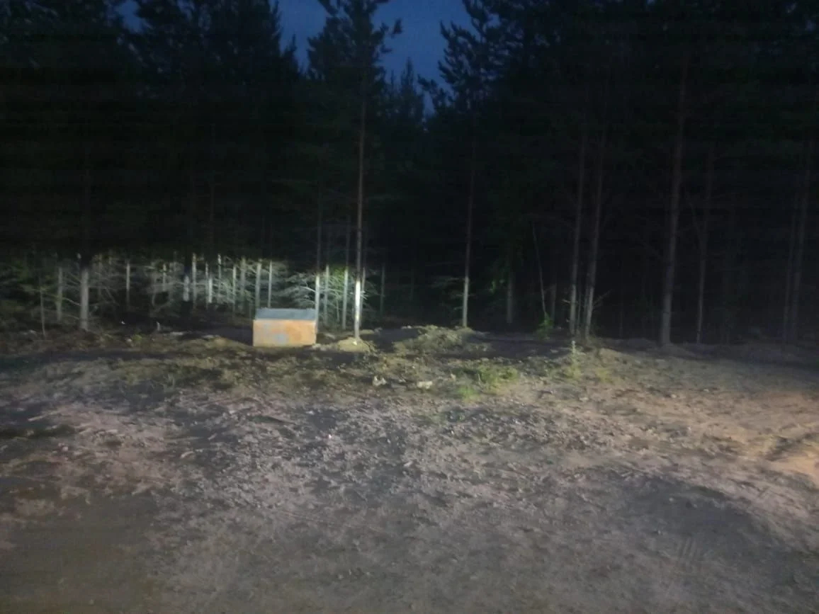 Фото: место свалки после уборки