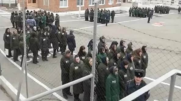 Фото: кадр из репортажа «РЕН ТВ»