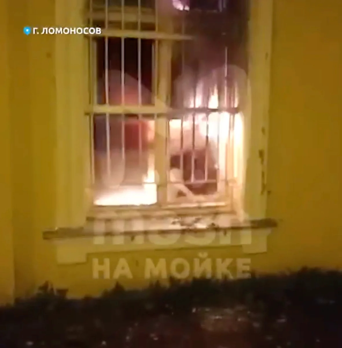 Фото: скрин видео