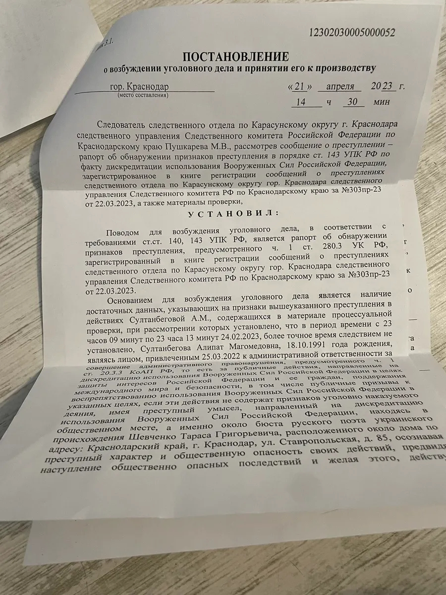 Фото: постановление о возбуждении уголовного дела/Алипат Султанбегова