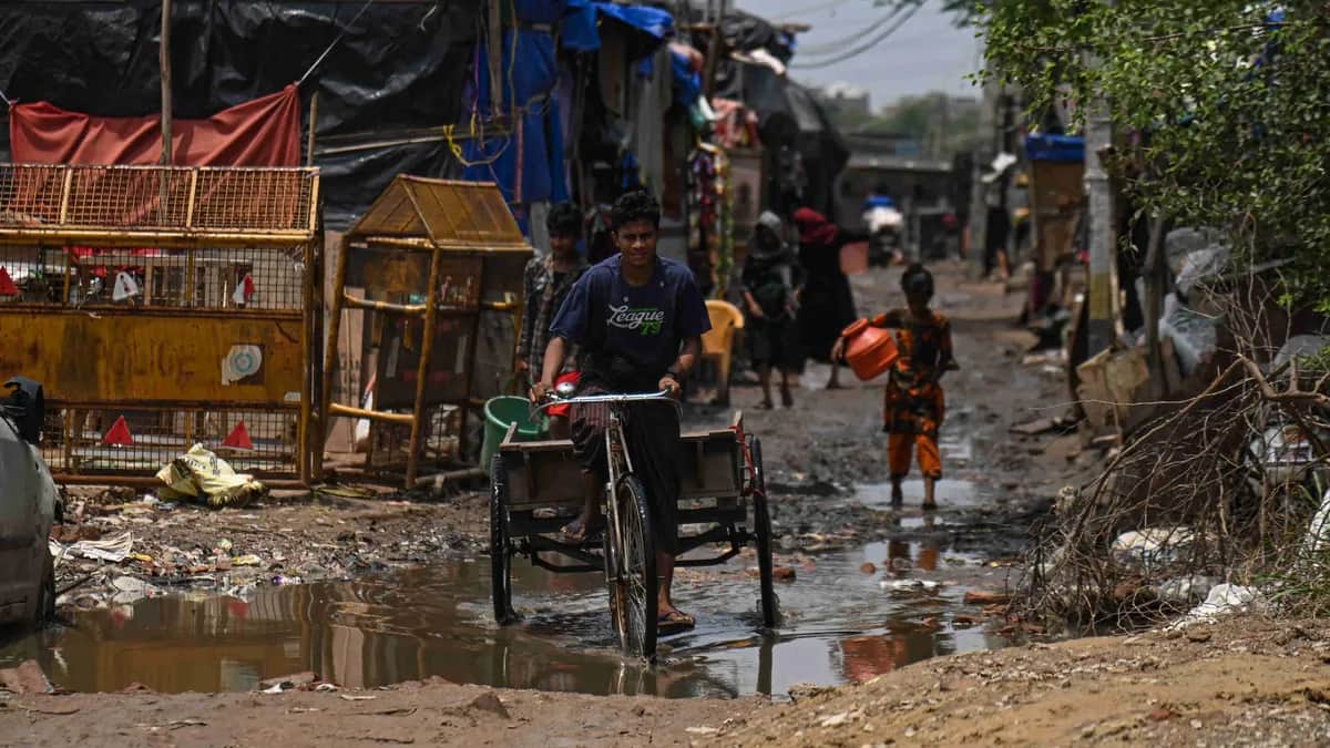 Фото: Kabir Jhangiani / NurPhoto / Getty Images