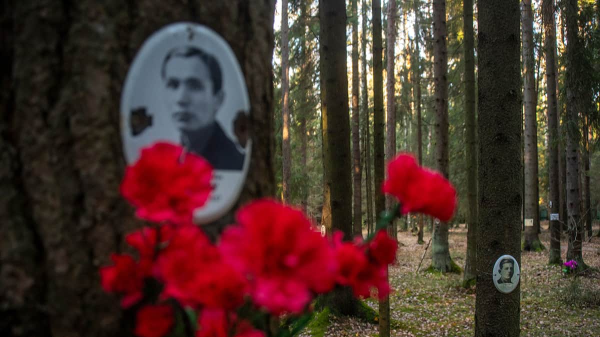 «Насилие — это инструмент, с помощью которого управляли государством»