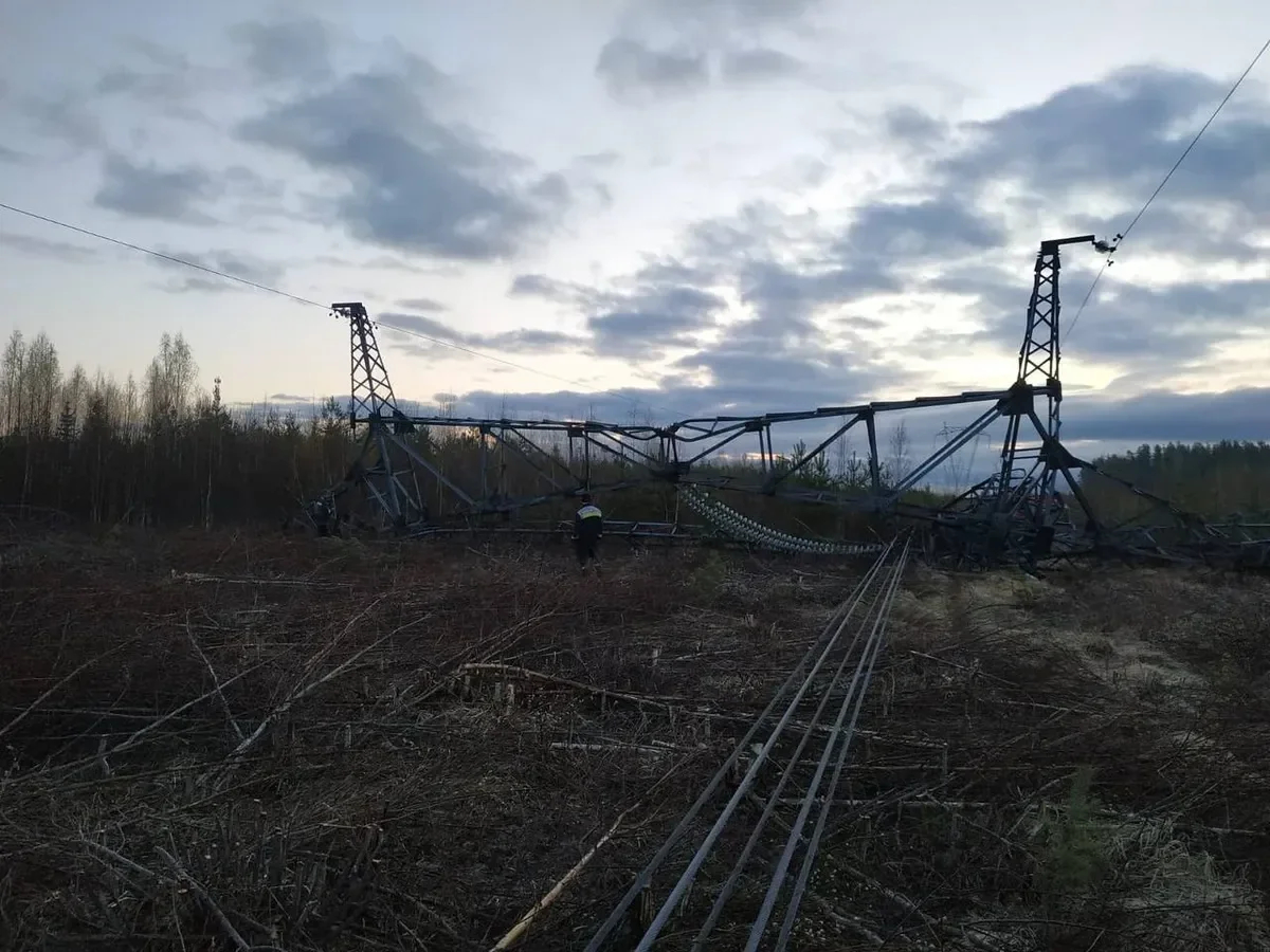 Photo: Alexander Drozdenko / Telegram