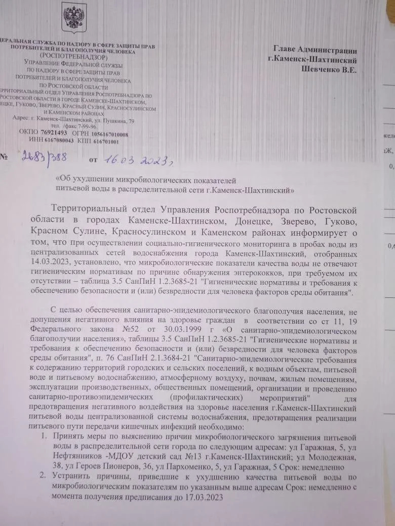53db0d1a76c247dabc6cd6614cea6955.webp