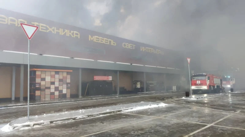 Фото: МЧС по Московской области