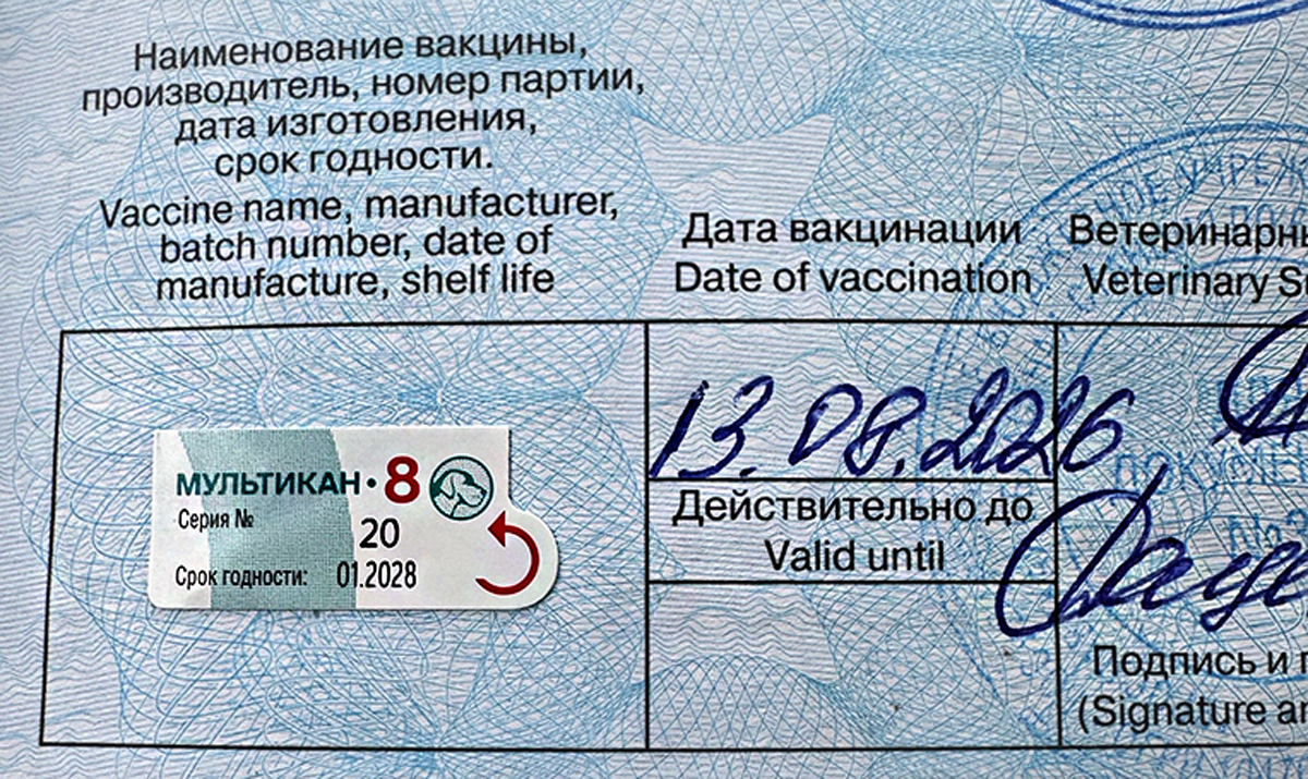 Фото: «Рыбинские известия»