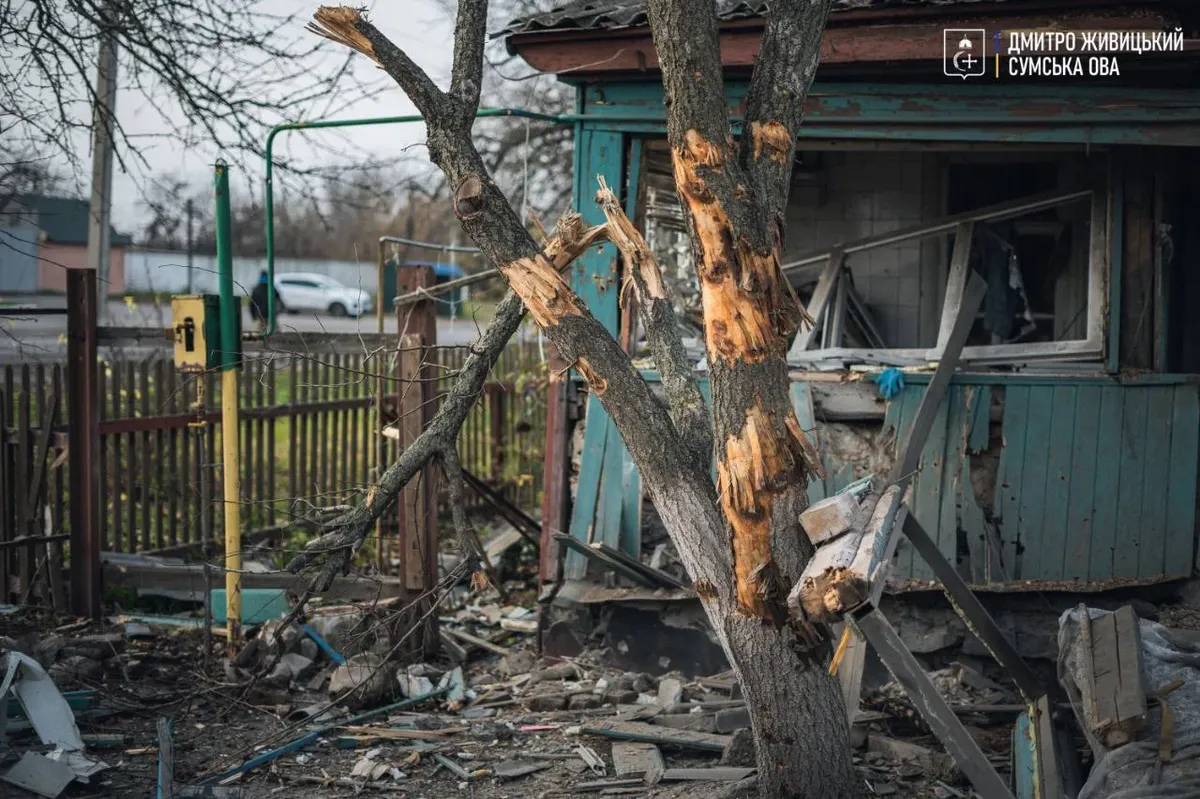 Фото: телеграм-канал Дмитрия Живицкого