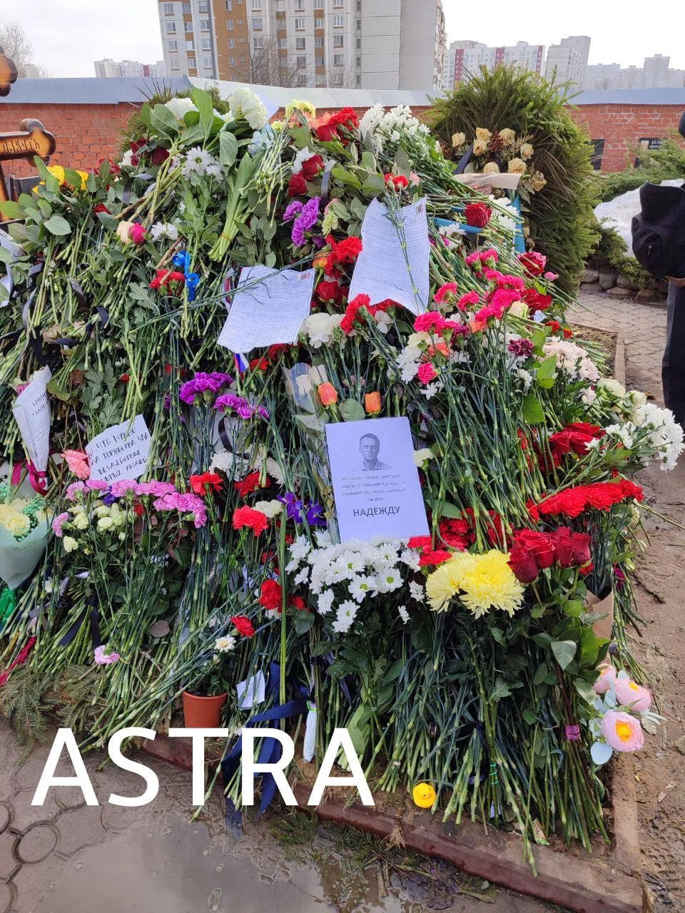 Фото: Astra