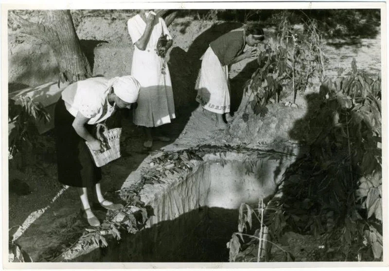 Во время эксгумации тел в Виннице. Фото: www.vin.gov.ua