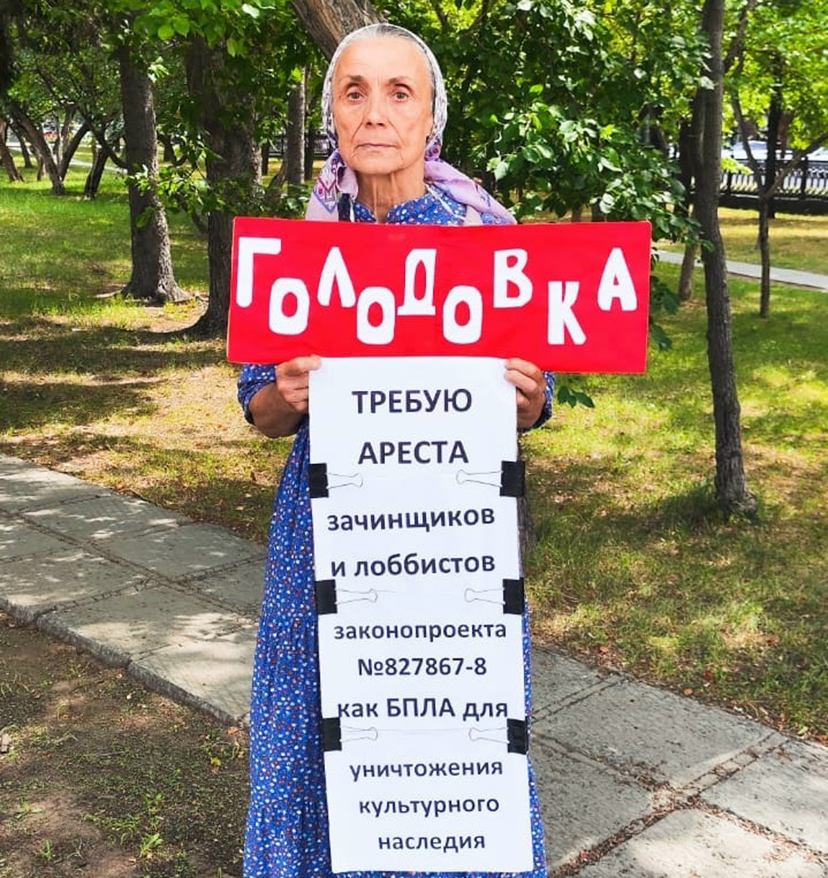 Людмила Матросова на пикете против законопроекта. Фото: Андрей Шевченко / VK