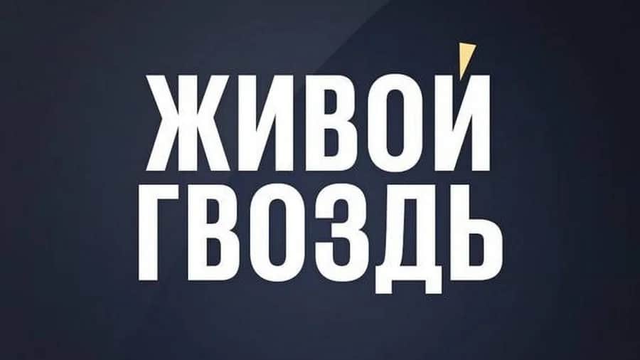 Фото: Живой гвоздь / YouTube