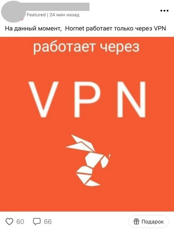 Скриншот: приложение Hornet