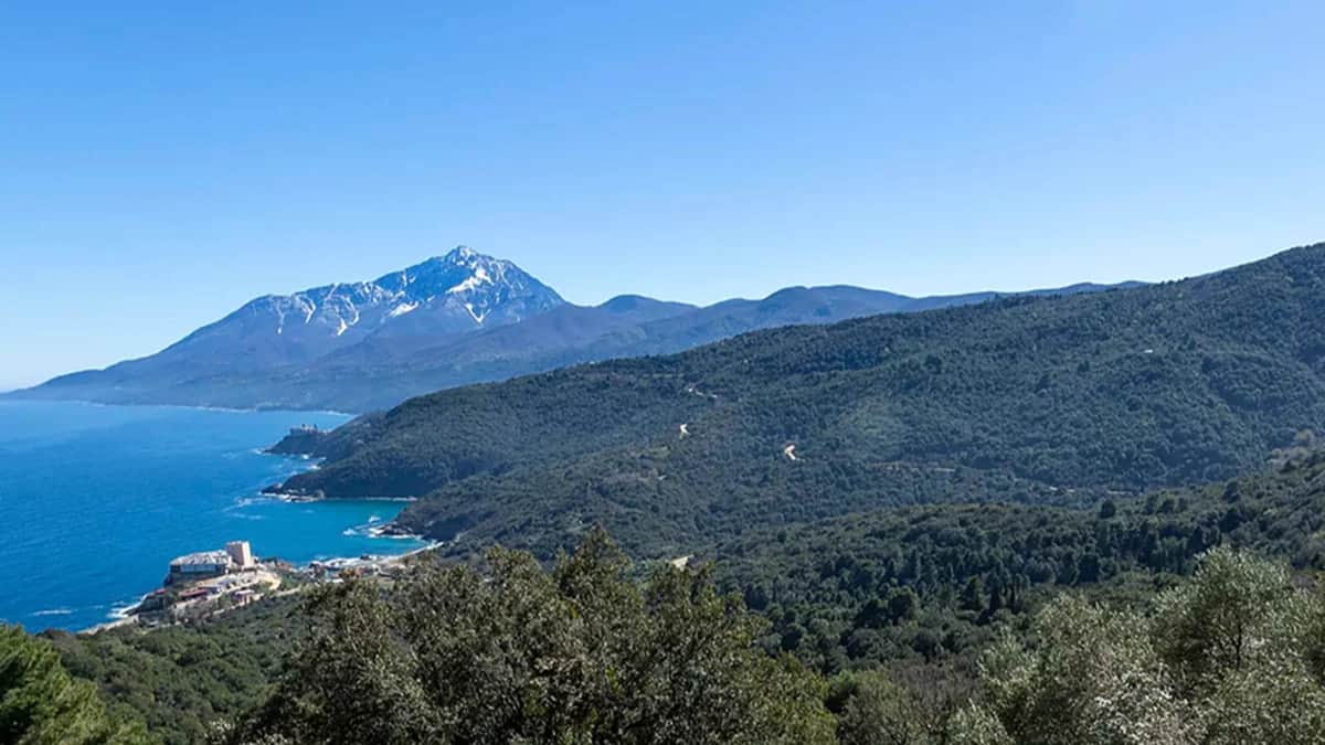 Гора Афон. Фото: mount-athos.org