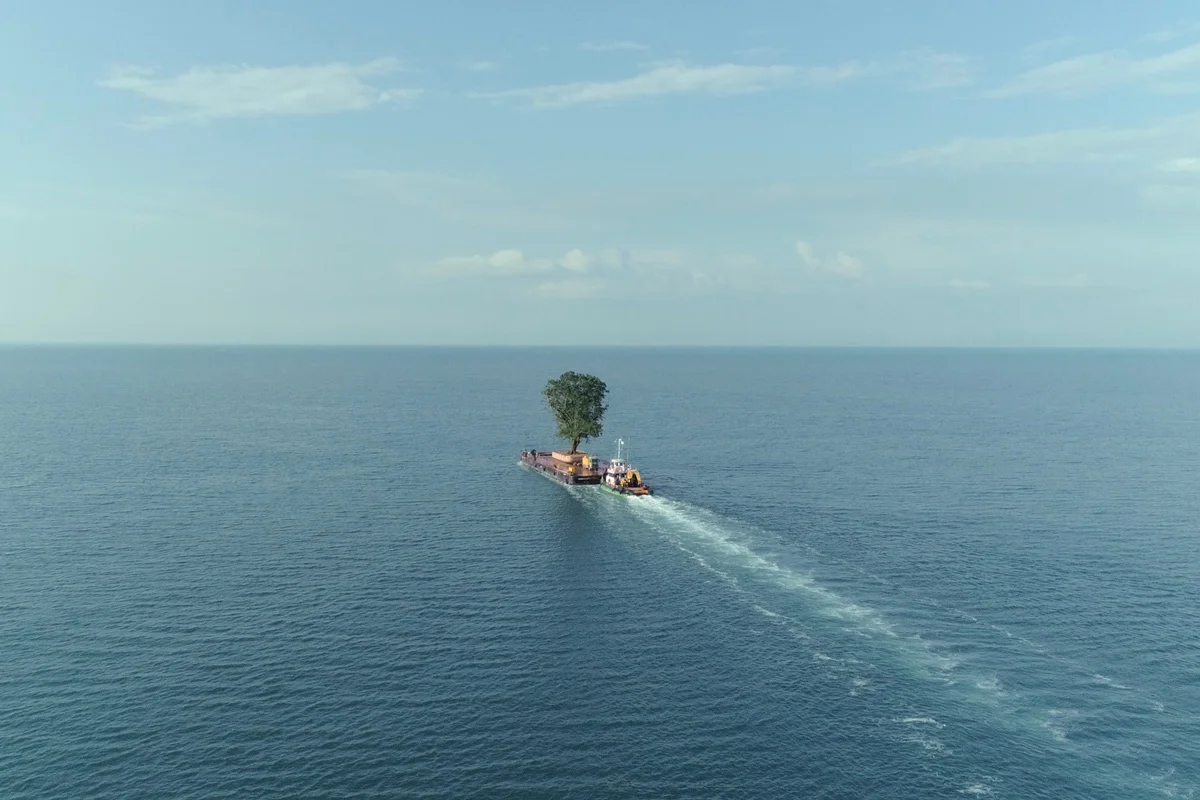 Кадр из фильма «Укрощение сада» Саломе Джаши. Фото: tamingthegarden-film.com