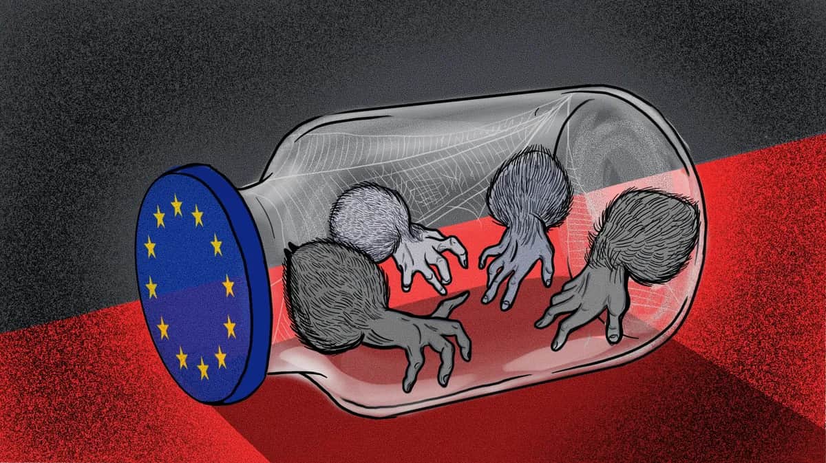 Иллюстрация: Анастасия Кшиштоф