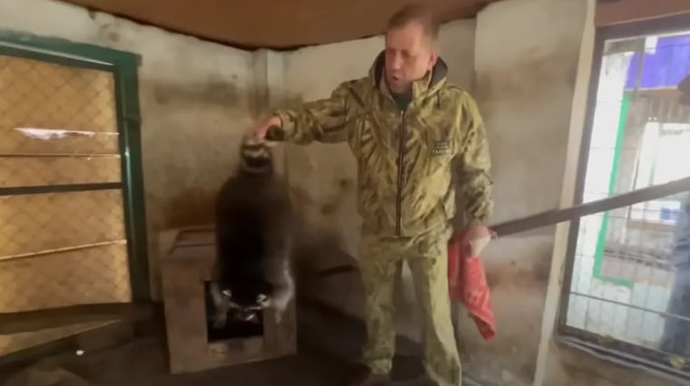 Изображение материала
