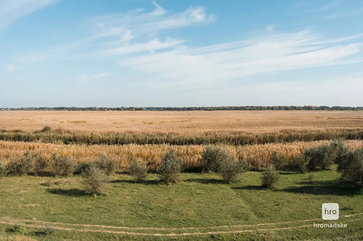 Плавни заказника “Лунг” в Старой Некрасовке. Фото: Елена Калиниченко / hromadske.ua
