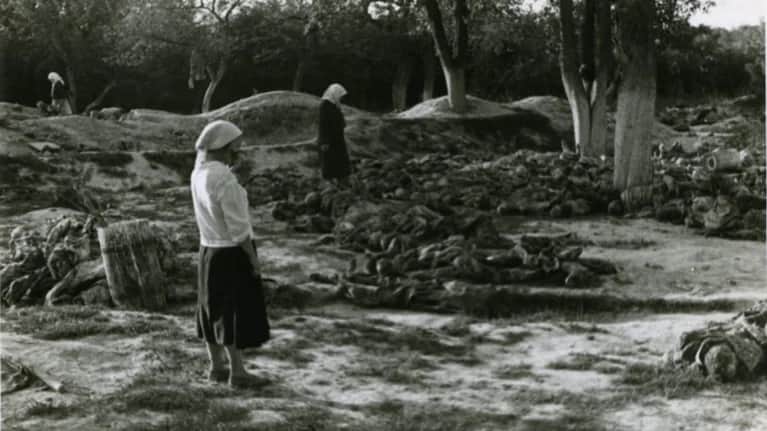 Во время эксгумации тел в Виннице, 1943 год. Фото: www.vin.gov.ua