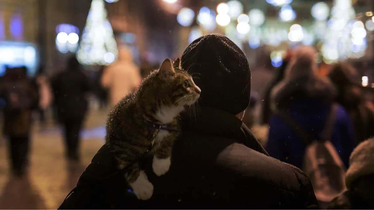 Фото: «Новая газета Европа»