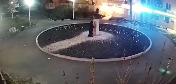 Скриншот записи с камеры видеонаблюдения