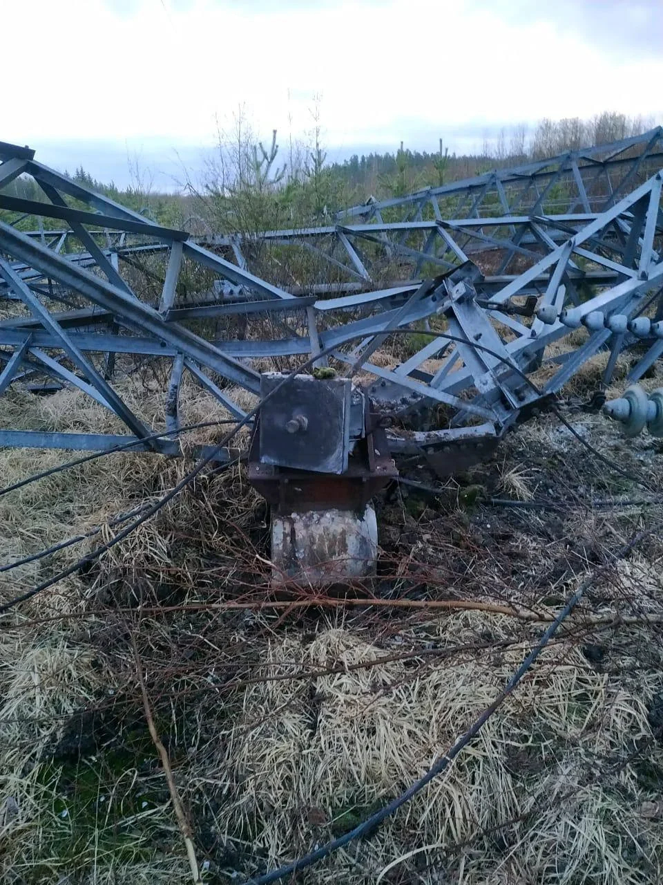 Photo: Alexander Drozdenko / Telegram
