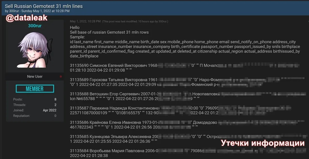 Фото: телеграм-канал «Утечки информации»