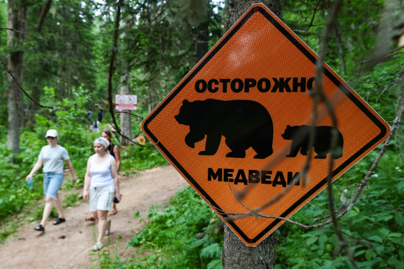 Фото: Кирилл Кухмарь / ТАСС / Profimedia