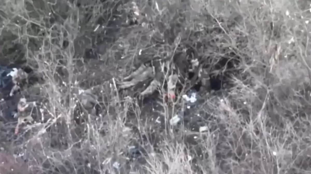 Screenshot from the video