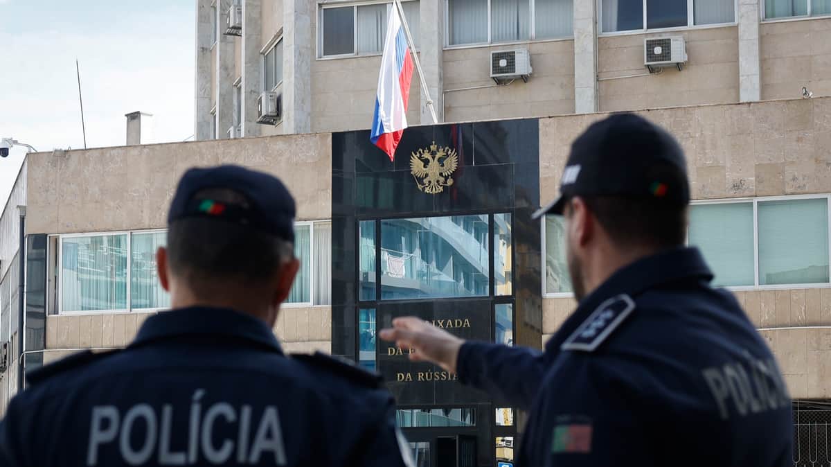«Диктаторы научились использовать Интерпол в своих интересах»