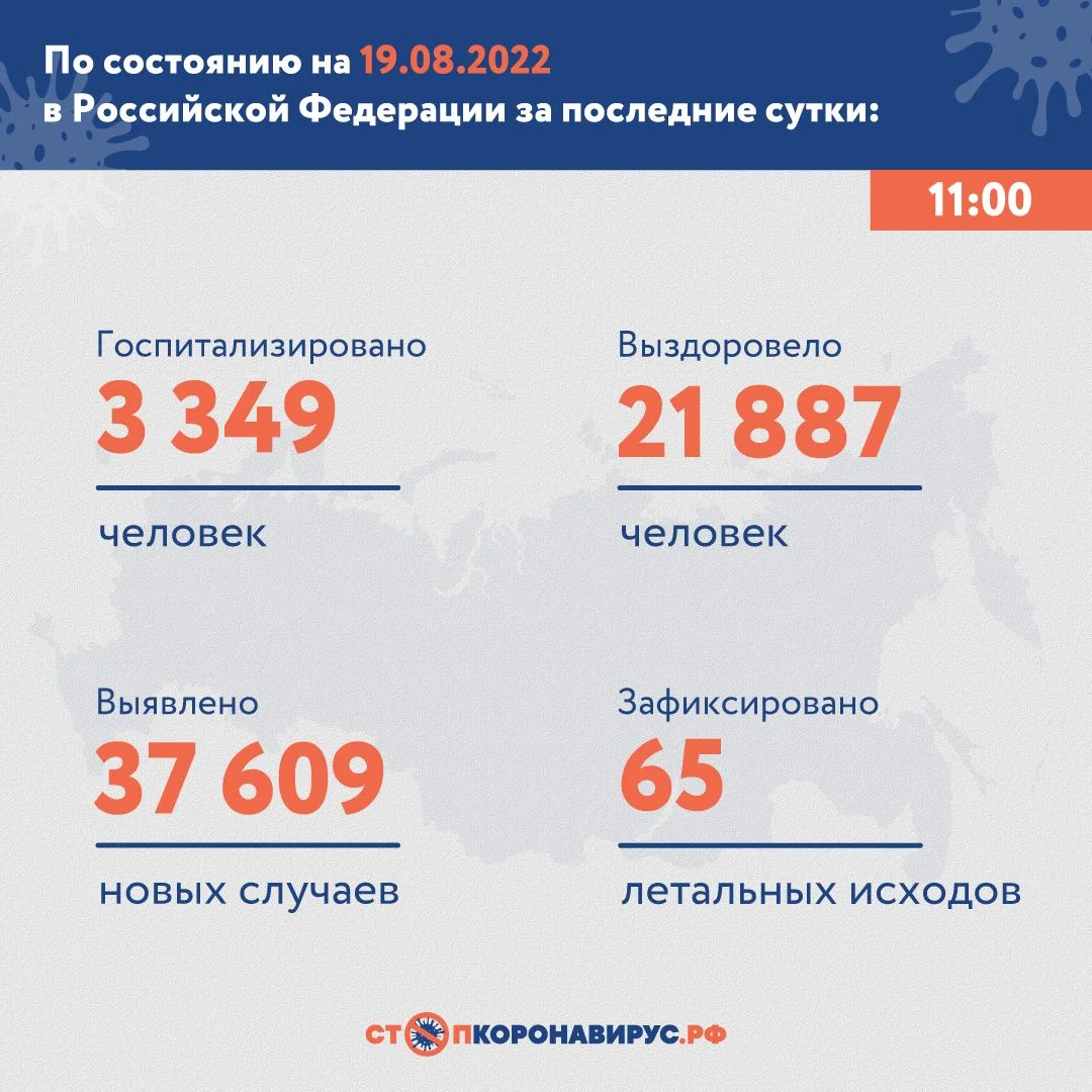 Фото: телеграм-канал «Стопкоронавирус.РФ»